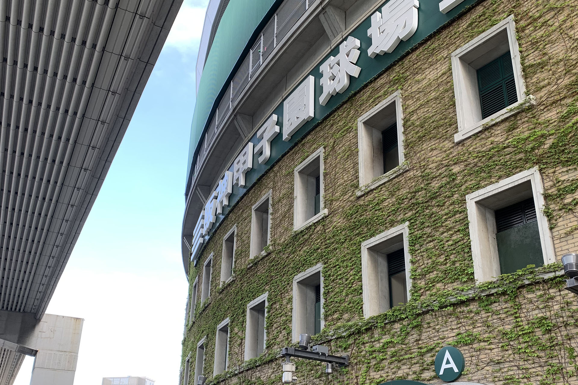 甲子園で飲める特別なお酒があるって本当?